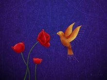 Hummingbird