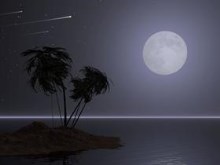 Nite Sky