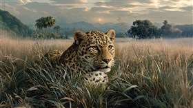 Leopard v2