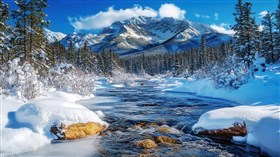 Spring Thaw