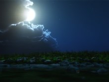 Only Sometimes it Shines on Me