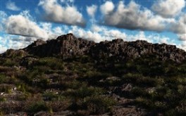 Desolation
