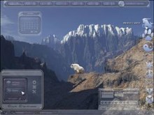 Mountain Goat