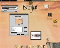 little ninja