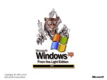 From the Light