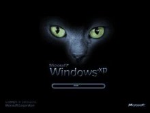 Cats Eyes
