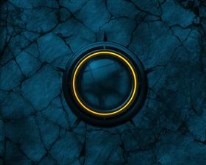 Reflex