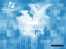 Ice Flower