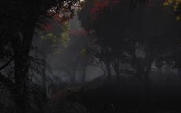 Mystic Forest