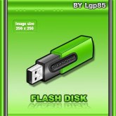 Flash disk