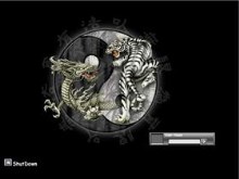 Dragon & Tiger