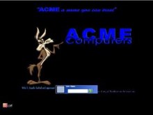 Acme Computers