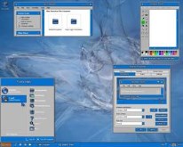 Windows 2020