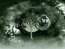 Nature Analyze