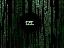 EZE matrix