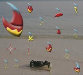 Crab