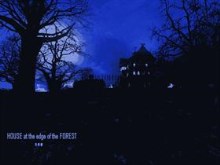 House at the edge of the Forest
