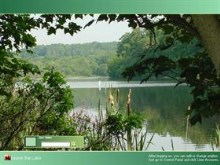 Bassin' Lake