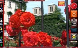 Rose Garden