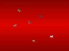 Horses