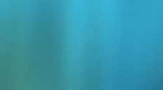 Blue Waves