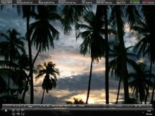 Dark Samui