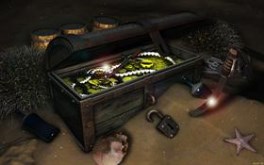 Pirate Treasure