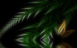 leafy things 589