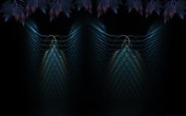 feathers in time