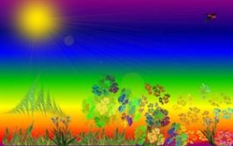 Summers Morn #Summer09