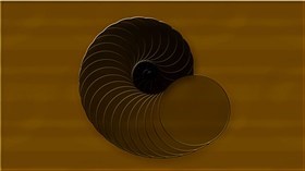 Nautilus