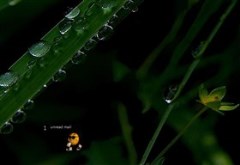 Emotic_mail