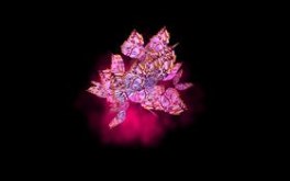 Magic Butterflies