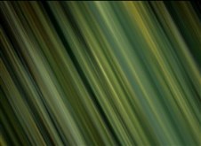 Green Blinds