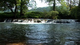 Forest Falls