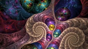 Octupus_In_Color