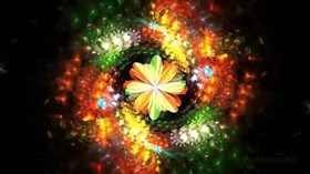 Wild_Colors