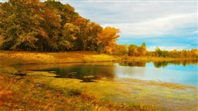 Autumn_Pond_2