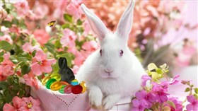 Easter_Time