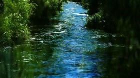 Windy_Day_Stream