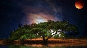 Dazzling_Starlight_Night