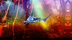 Psychedelic_Hammerhead
