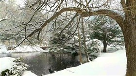 Snowy_Winter_Pond