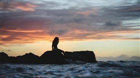 Enjoying the Sunset