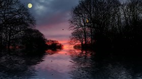 Fireflies_2_Remake_Request