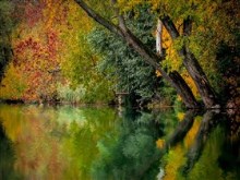 Beautiful_Autumn_River