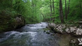 Upstream