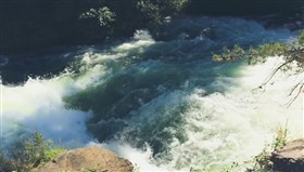 Forest_Rapids