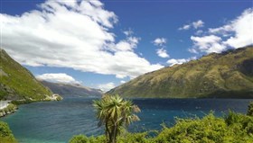 New Zealand_Windy_Day