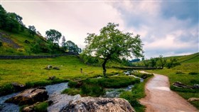 Beautiful_Country_Stream